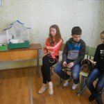 «Мои любимые питомцы»